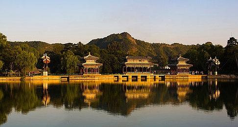 黑暗风模拟经营 《Organs Please》steam发售 