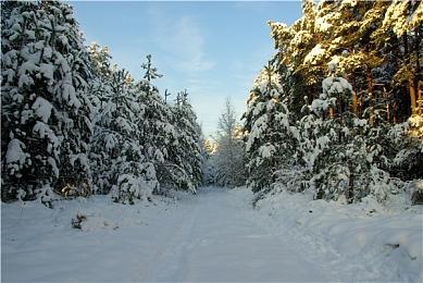 联发科发布物联网芯片Genio700 6nm八核轻松用10年